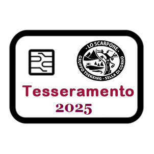 tessera 2025